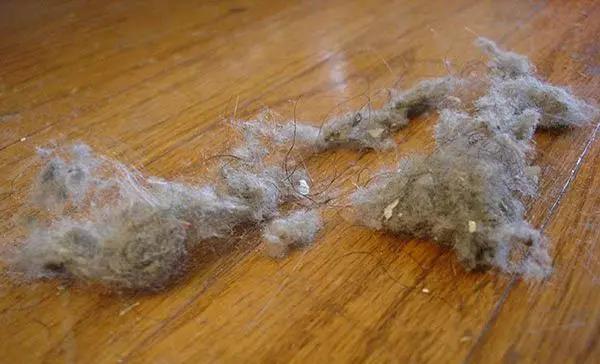 微信圖片_20210111155628.jpg 微信圖片_20210111155628.jpg